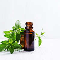 oregano oil