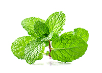 peppermint oil